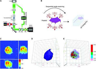 Quantitative Optical Diffraction Tomography Imaging of Mouse Platelets